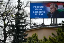 Segítünk Balásy Gyulának: 92 milliárd forint osztalékot fizettek a cégei 2017 óta