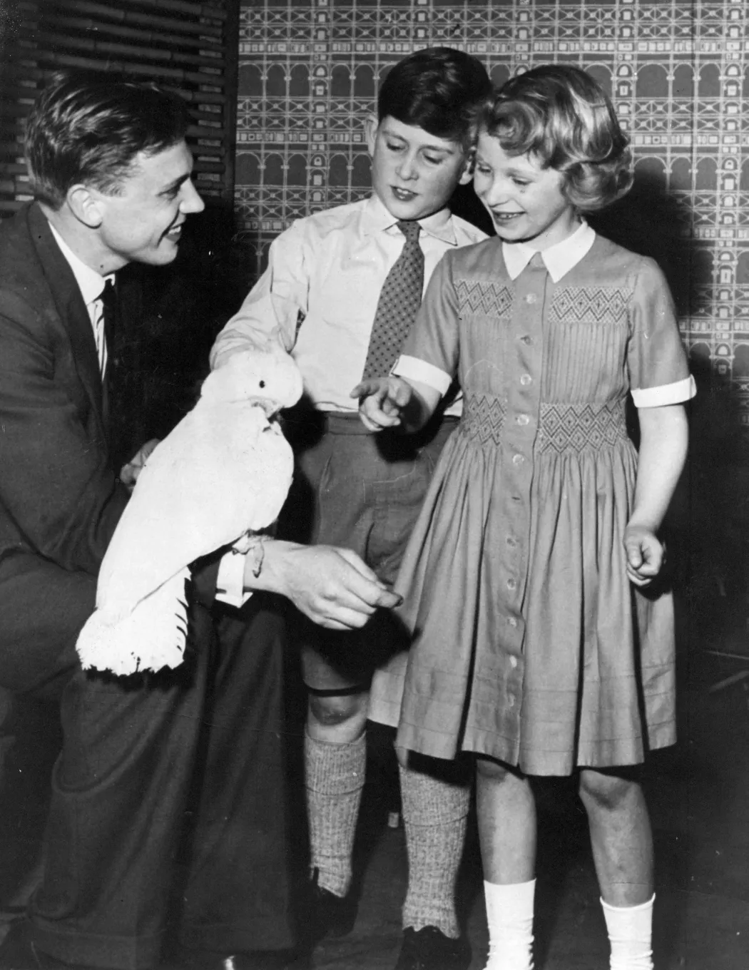 Attenborough az akkori walesi hercegnek, a mai Károly királynak és Anna hercegnőnek is megmutatott egy kakadut 1958-ban – Fotó: Kemsley / NCJ Archive / Mirrorpix / Getty Images