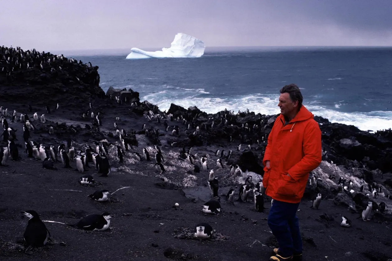 David Attenborough az Élő bolygó, Az élet megpróbáltatásai, az Élet a Földön és A fagy birodalma című sorozatokban – Fotó: BBC 