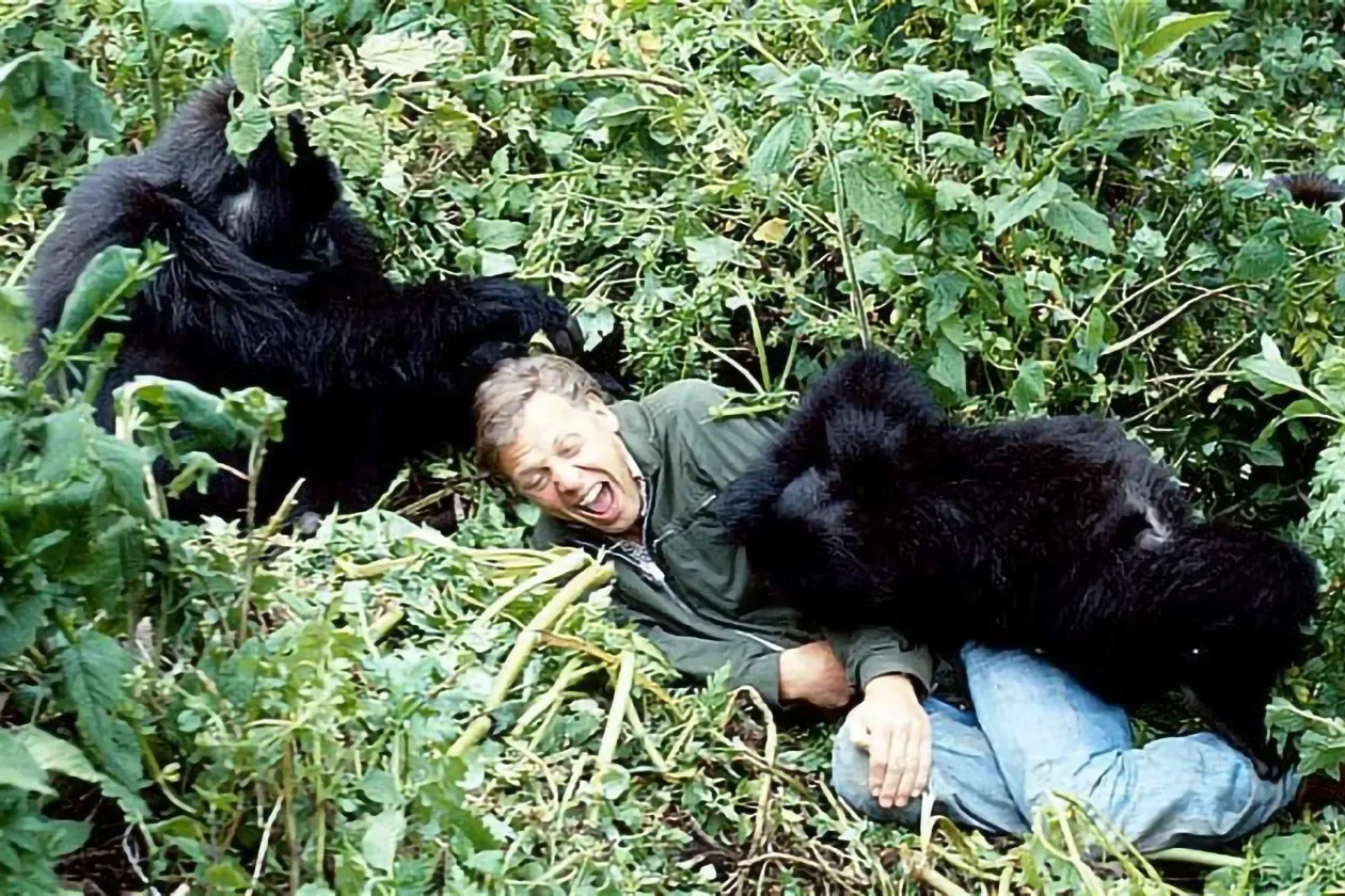 David Attenborough az Élő bolygó, Az élet megpróbáltatásai, az Élet a Földön és A fagy birodalma című sorozatokban – Fotó: BBC 