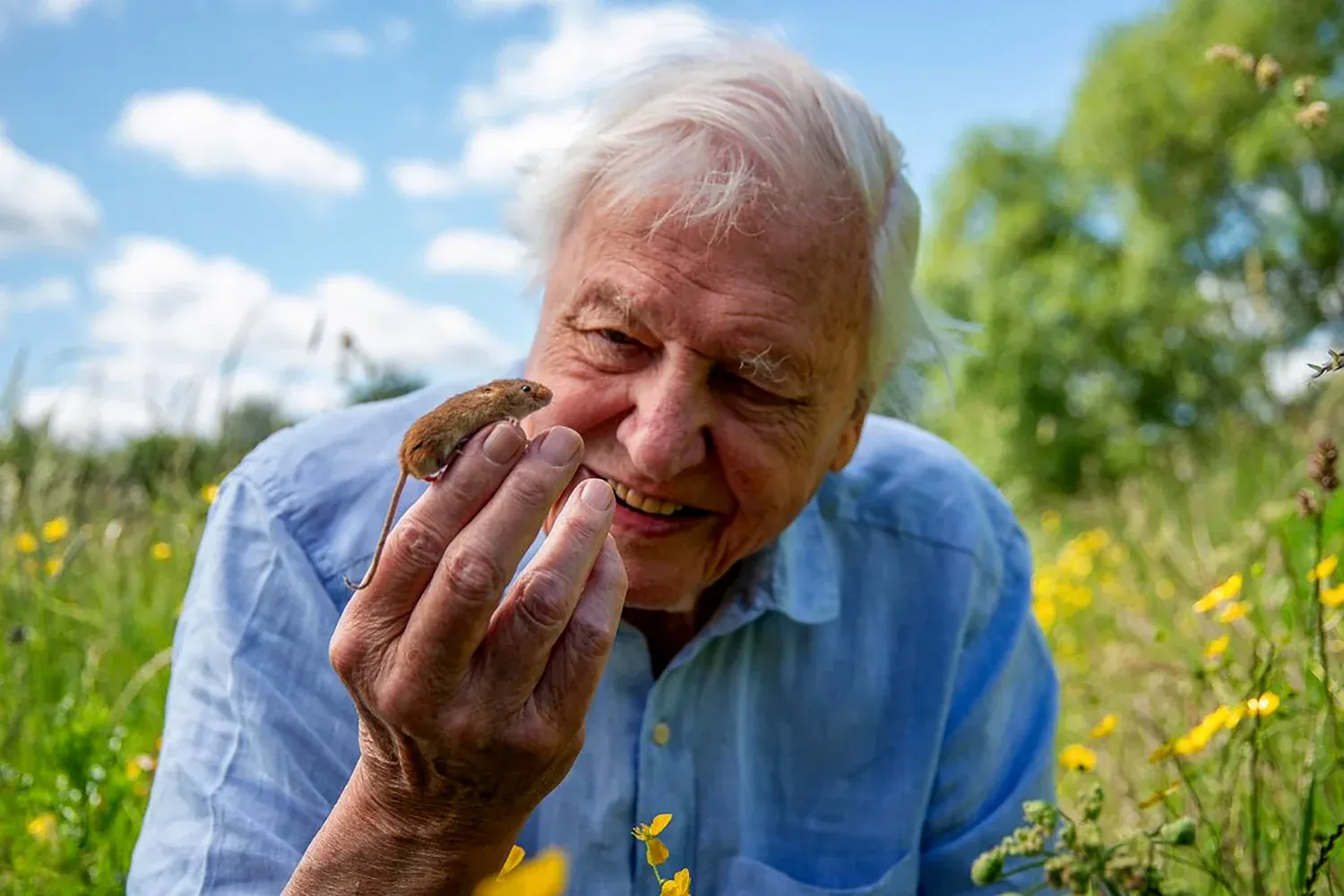 David Attenborough egy mezei egérrel az egyik forgatásán – Fotó: Joe Loncraine / Passion Planet Ltd. / BBC
