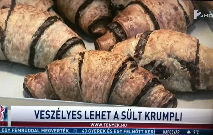 Forrás: Last Days of Tények