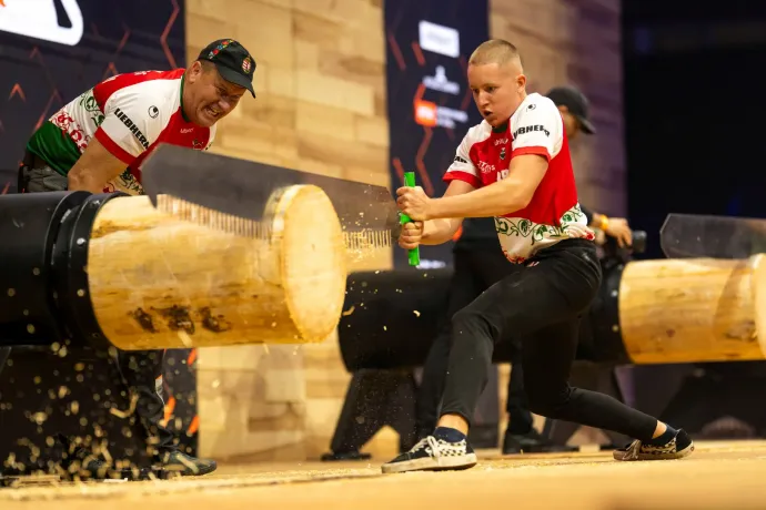Fejszékkel, fűrészekkel jön Budapestre az egyik leglátványosabb sport(x)