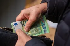 Egy kicsit magához tért a lej az euróhoz képest