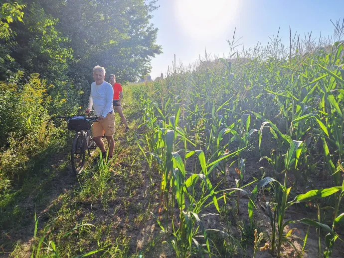 A dzsindzsa, Majláthpuszta és az eszéki strand – Fotó: Tenczer Gábor / Telex