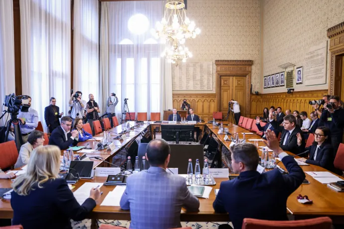 Fotó: Melegh Noémi Napsugár / Telex
