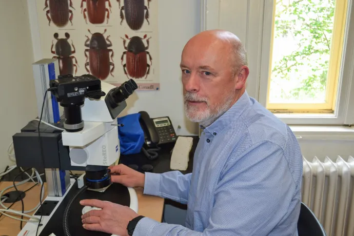 dr. Lakatos Ferenc, a Soproni Egyetem Erdő- és Természeti Erőforrás-gazdálkodási Intézetének vezetője – Fotó: Nagy Márta / Telex