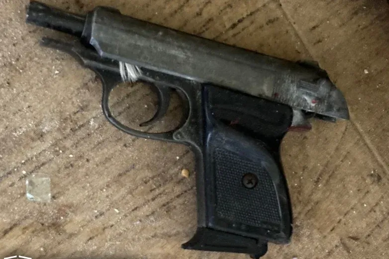 Lelőtt a TEK egy idős férfit, aki gázpisztollyal lőtt rá a rendőrökre Monoron