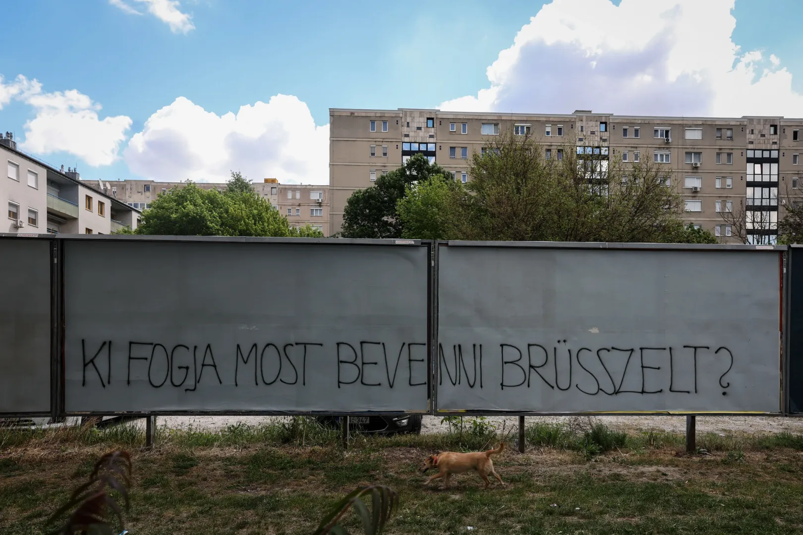 Fotó: Huszti István / Telex