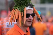 A sárgarépa a hollandok miatt lett narancssárga
