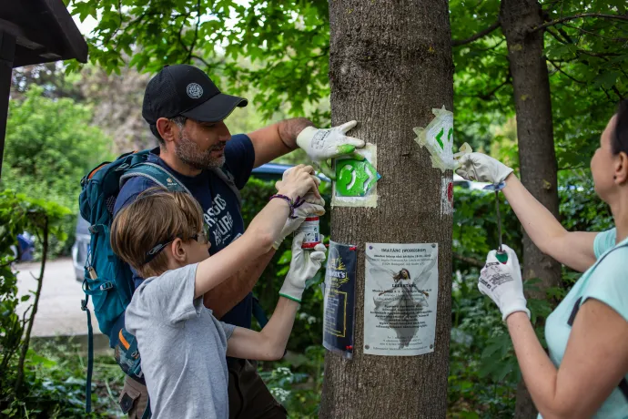 Jelzésfestés négy lépésben: gyorstalpaló, maszkolás, alapfestés, fújás – Fotó: Pál Máté / MTSZ