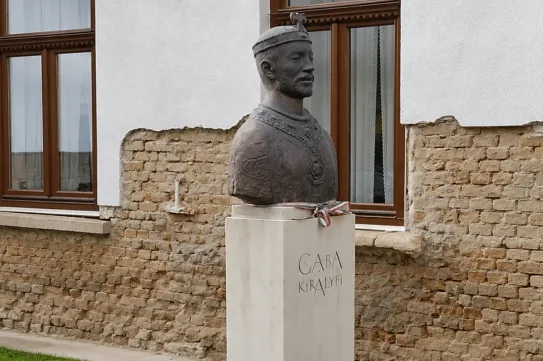 Vida Gábor: Sárgát virágzik a tök
