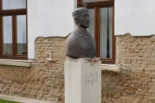 Vida Gábor: Sárgát virágzik a tök