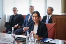 Orbán Anita: Megkezdődnek a szakértői szintű egyeztetések a kárpátaljai magyarság jogairól