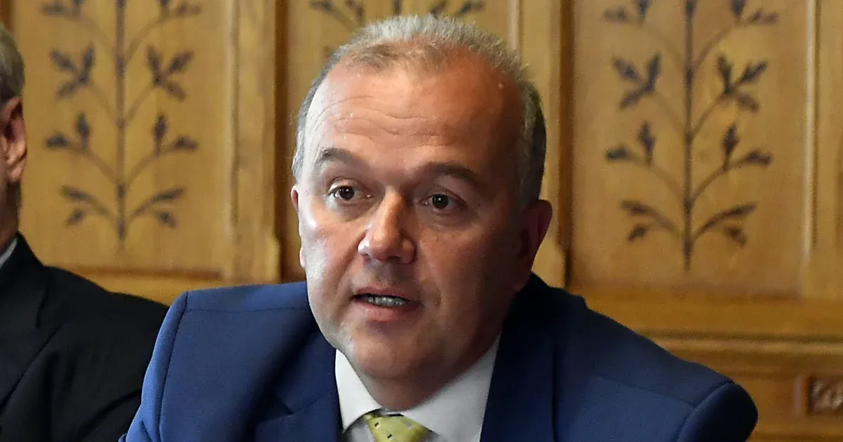 Gaudi-Nagy Tamás susține că a cerut revizuirea de către Curte pentru K. Endre, dar nu el a depus cererea de grațiere