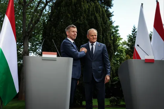 Magyar: Nem irigykedni kell, hogy a szomszéd kertje zöldebb, hanem tanulni kell, és össze kell fogni