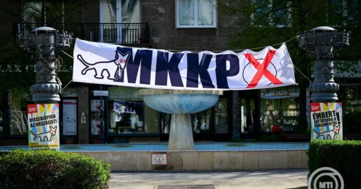 A Kutyapárt bíróságon támadja a 686 milliós támogatást.