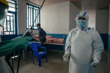 Ebolajárvány kitörésének veszélyeire figyelmeztetett a WHO vezetője