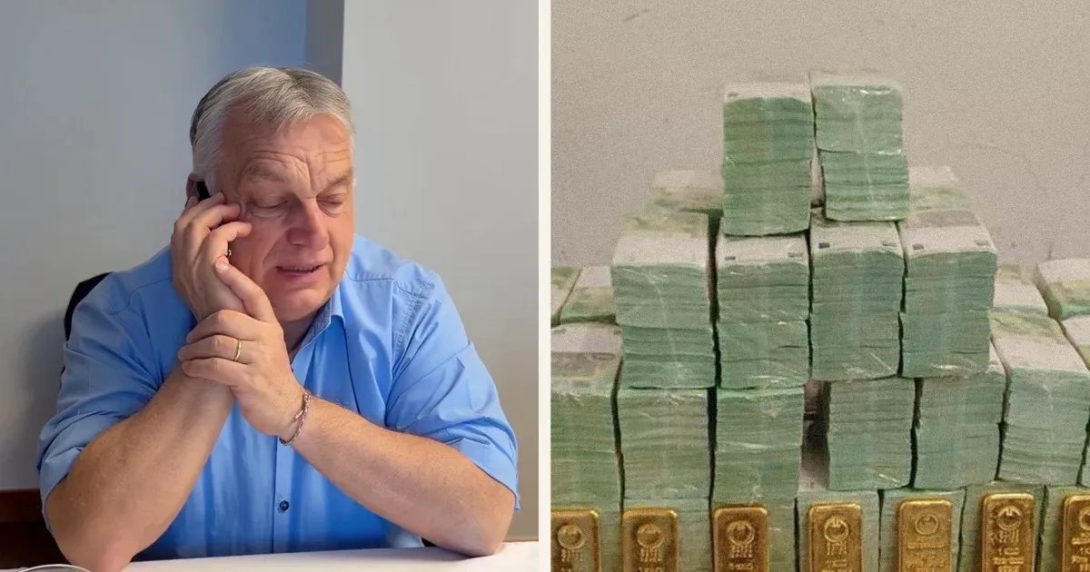 A Választási Kampány Legmegdöbbentőbb Pillanatai: Szájkarate 3.0 Döntője