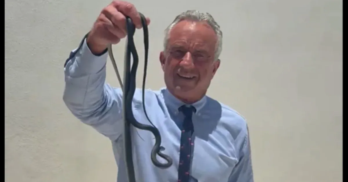 Robert F. Kennedy Jr. Kígyószelídítése: Meglepetés Videó Az Amerikai Egészségügyi Minisztertől Robert F. Kennedy Jr. Kígyószelídítése: Meglepetés Videó Az Amerikai Egészségügyi Minisztertől