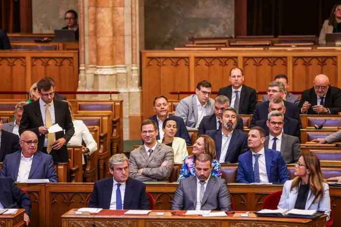Fotó: Melegh Noémi Napsugár / Telex