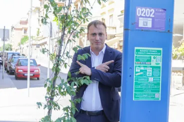 Fákat ültet a II. kerület a leszerelt parkolóórák helyére