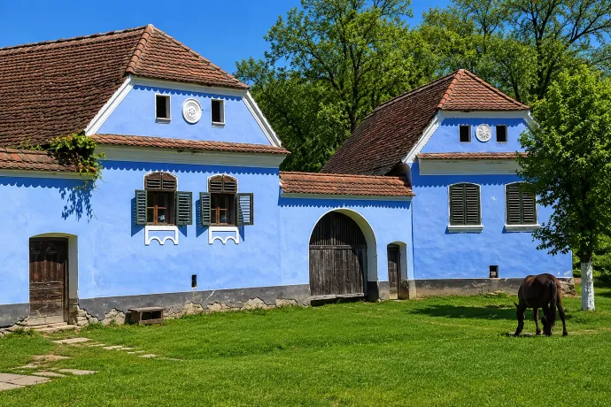 Csendélet – Fotó: a szerző archívuma