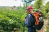 Via Transilvanica: Sárpatakig vitt az út csipkerózsabokrok és traktornyomok között