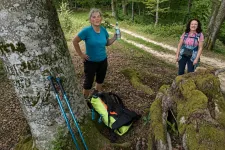 800 éves tölgyfát öleltünk meg a Via Transivanicán, úton Erzsébetváros felé