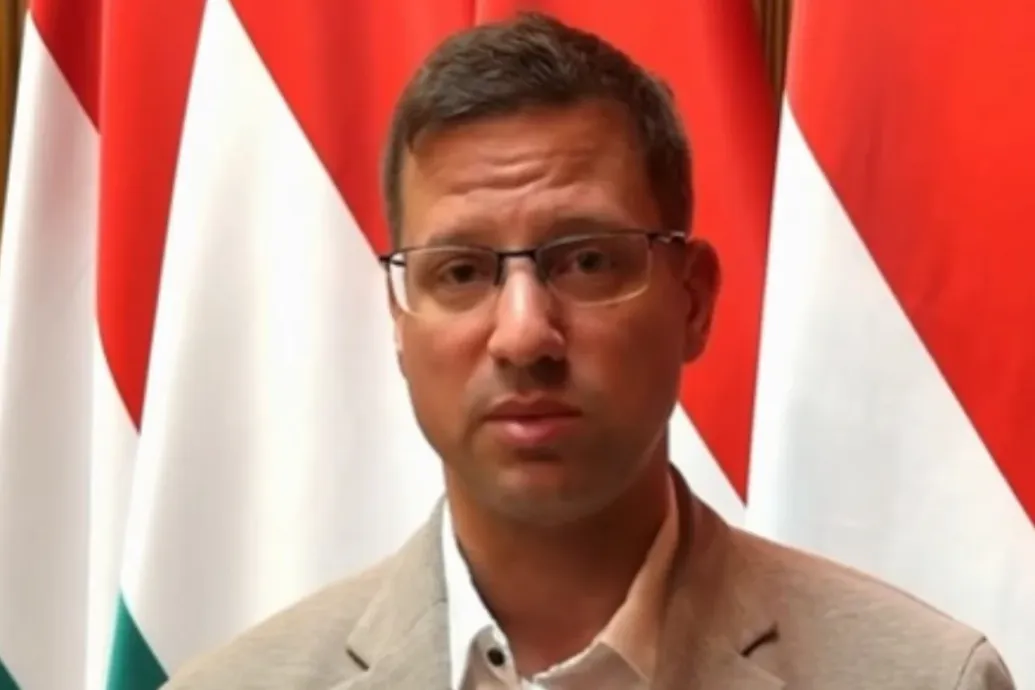 Gulyásék méltatlannak tartják, ahogy az új kormány és Magyar Sulyokhoz viszonyul