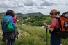 Tovább a Via Transilvanicán: akácillatban gyalogoltunk Erzsébetvárostól Almakerékig