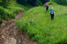 Via Transilvanica: sáros medvenyomok mutatták az utat Berethalomig