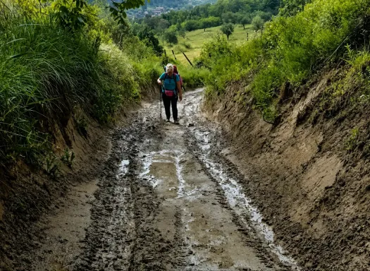A sárban világos kirajzolódott a medvenyom – Fotó: a szerző archívuma