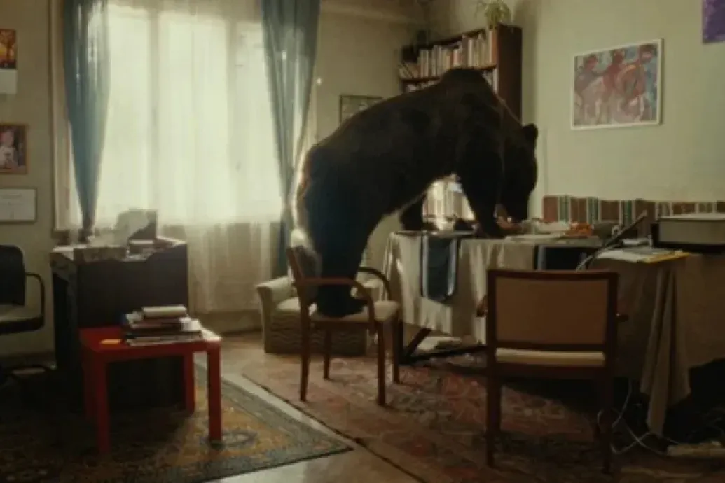A medvévé változó lakótelepi kamasz története lett a legjobb rövidfilm a Friss Húson