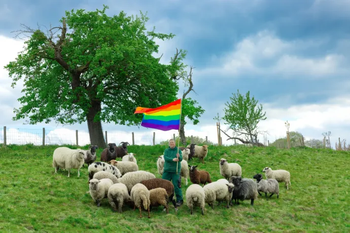 Aki szerint a homoszexualitás csak emberi hóbort, nem találkozott még a kosokkal