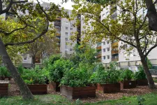 Fiatalok ötleteit várják, nemzetközi pályázaton keresztül valósít meg zöldprojekteket Budapest