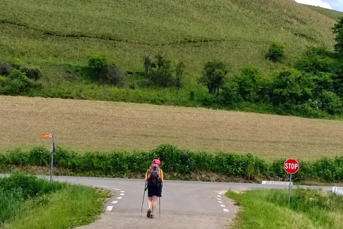 Történelemóra a Via Transilvanicán: a szászmuzsnai iskolaigazgató megmutatta, hogyan őrzik Erdély közös múltját
