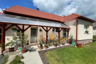 Ezek a jövő növényei, szárazságtűrő virágok, amelyek évről évre visszatérnek