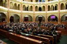 Magyar Péter: Ma a Parlament felfüggeszti a devizahiteles ügyek végrehajtását
