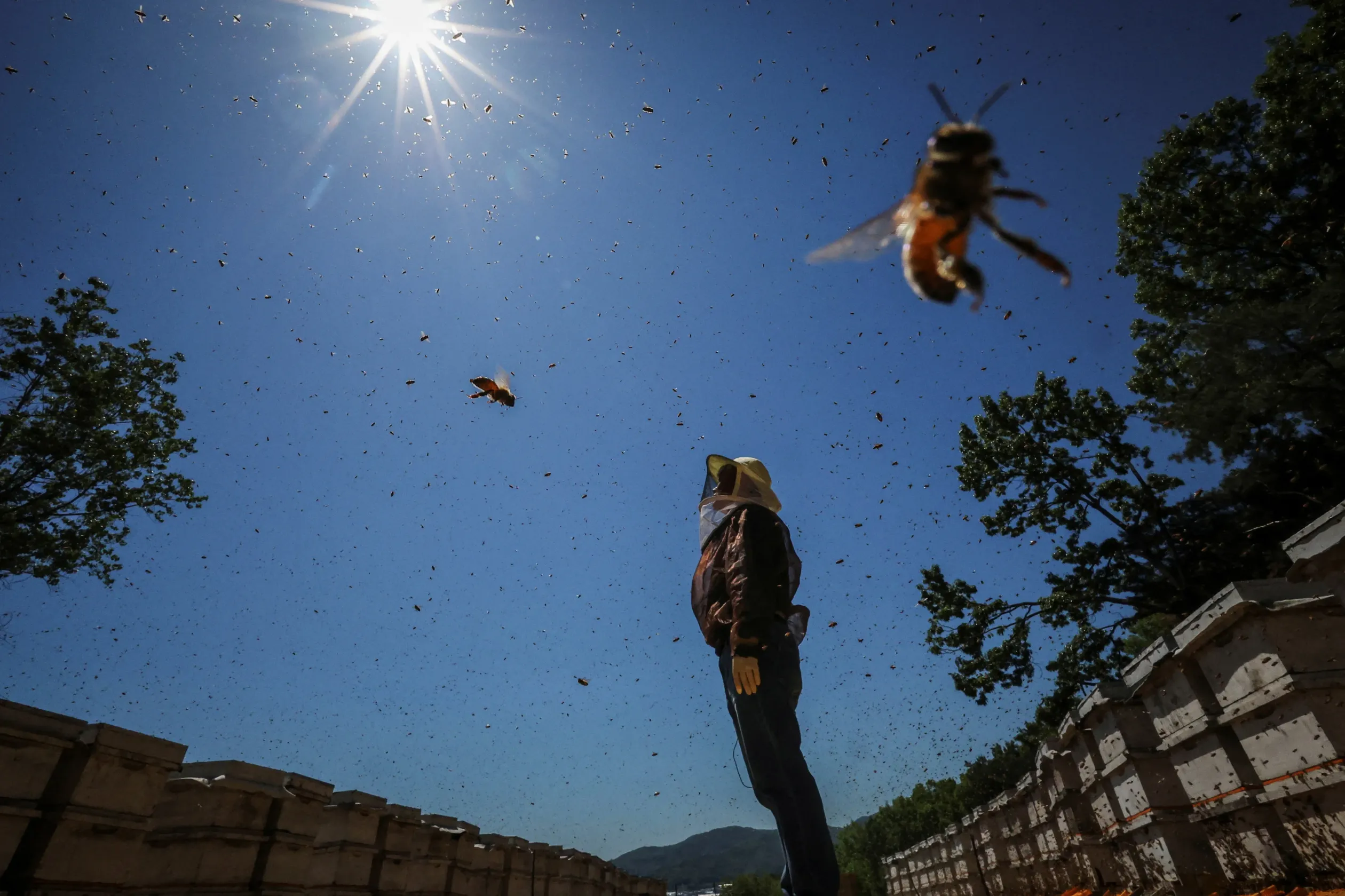 Park Kjongdzse figyeli, hogy milyen időjárás várható – Fotó: Kim Hong-Ji / Reuters