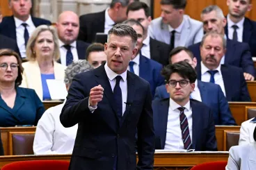 Magyar Péter a Vitnyédre tervezett menekülttáborról: Megvan a titkos kormányhatározat, kedves Pócs János
