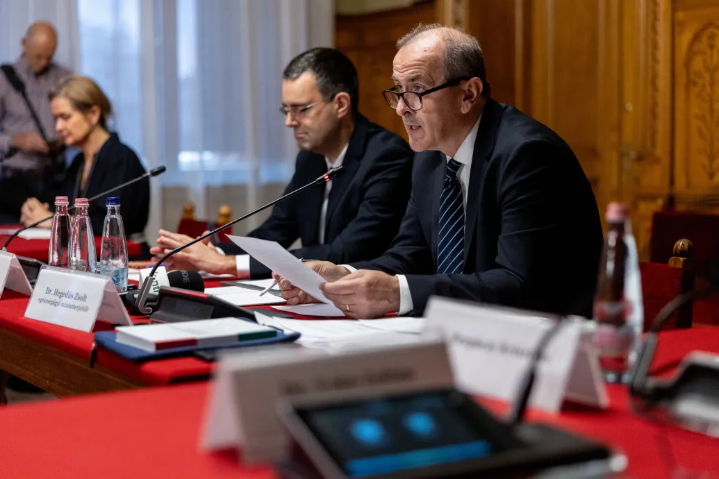 Hegedűs Győrfi Pál leváltásáról: A mentőknek nem c