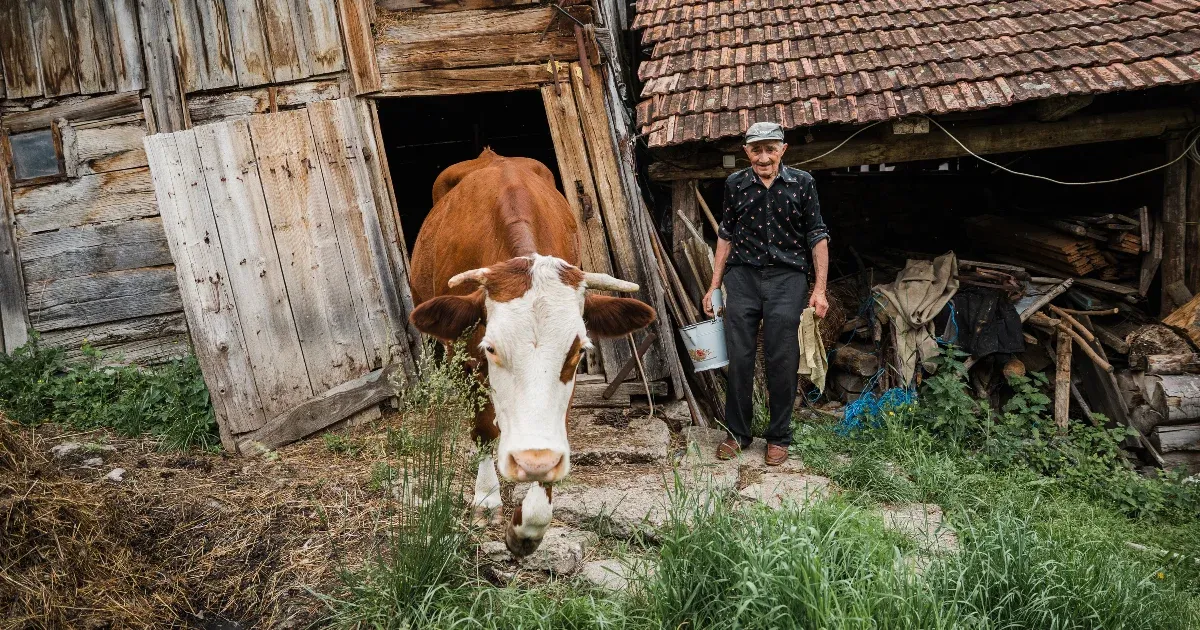 A hagyományok eltűnése és a vidéki élet valósága Mohos Zsófia díjnyertes fotósorozatában