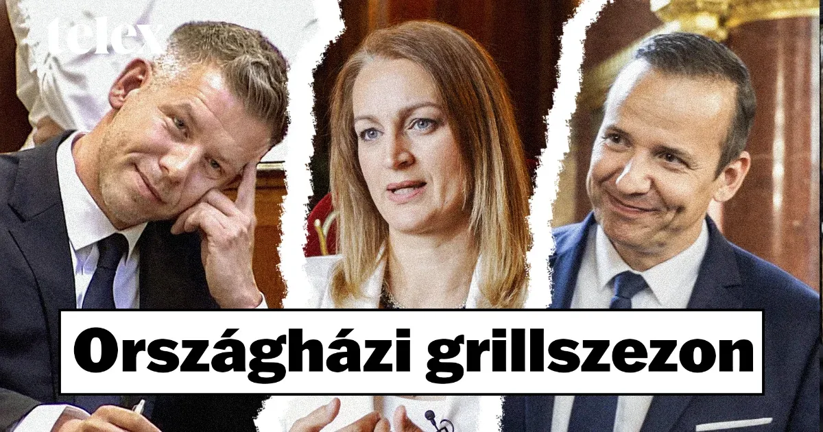 Forsthoffer Ágnes új módszere a parlamenti személyeskedések ellen Forsthoffer Ágnes új módszere a parlamenti személyeskedések ellen
