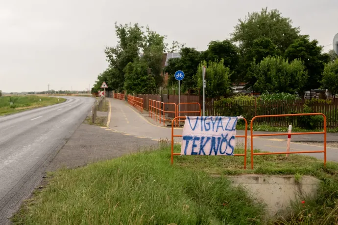 A faj fennmaradását is veszélyeztetheti a tömeges teknősgázolás Szeged mellett