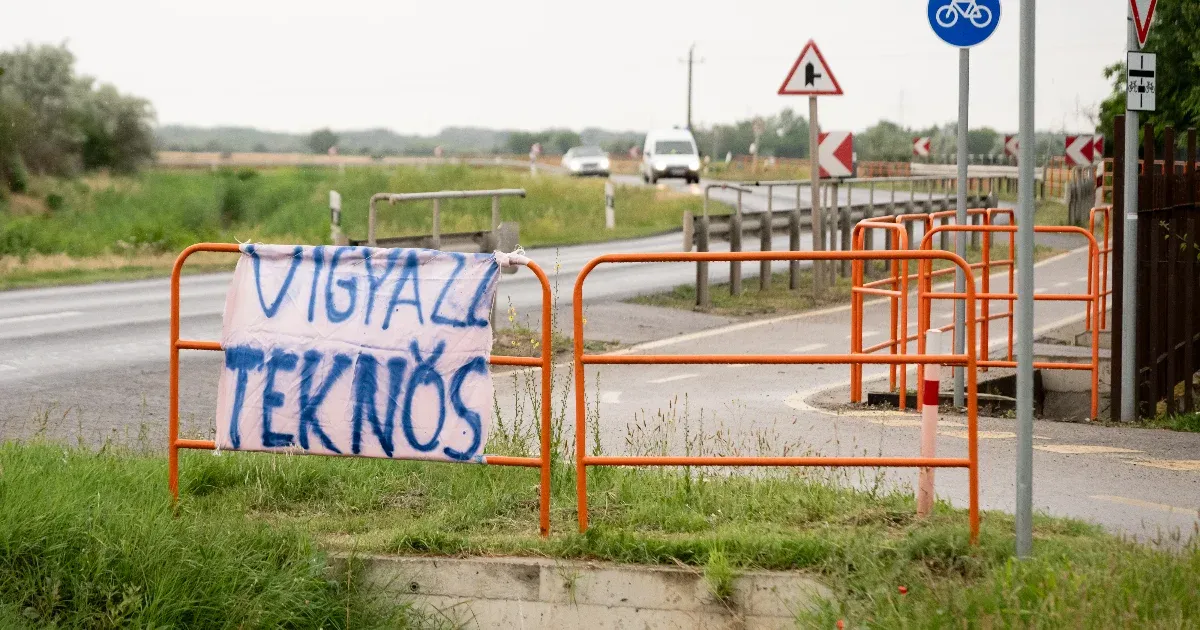 Több mint száz mocsári teknős gázolása Szeged környékén: sürgető természetvédelmi problémák
