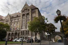 Elismerte ugyan, hogy hibázott, de méltatlannak tartja leváltását a Magyar Nemzeti Levéltár igazgatója