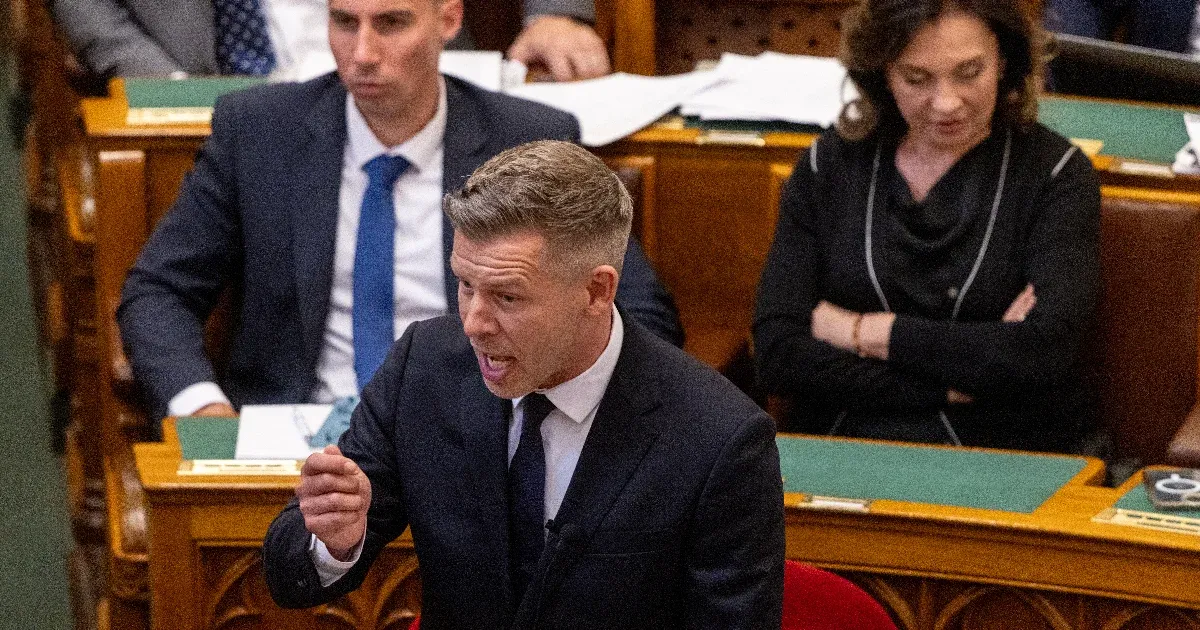 „Szóvá tette Magyar Péter, hogy az Orbán-kormány menekülttábort tervezett Vitnyédre”