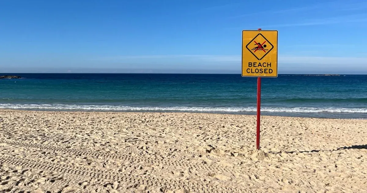 Cápatámadás Coogee Beach-en: Hős vízimentő mentette meg a nőt Cápatámadás Coogee Beach-en: Hős vízimentő mentette meg a nőt