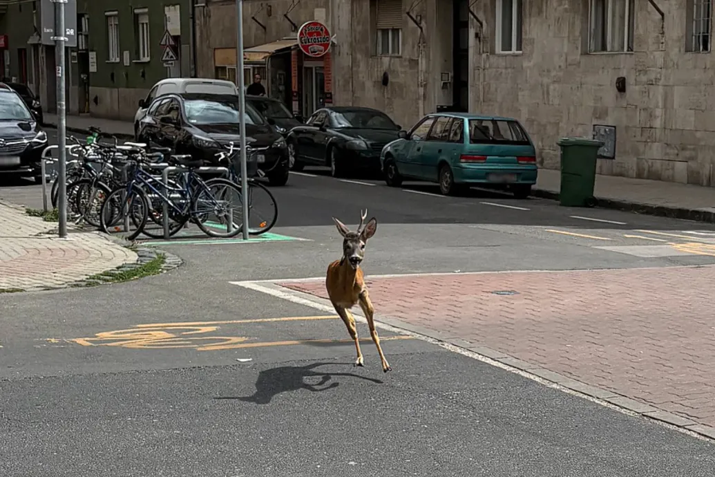 Blurred placeholder